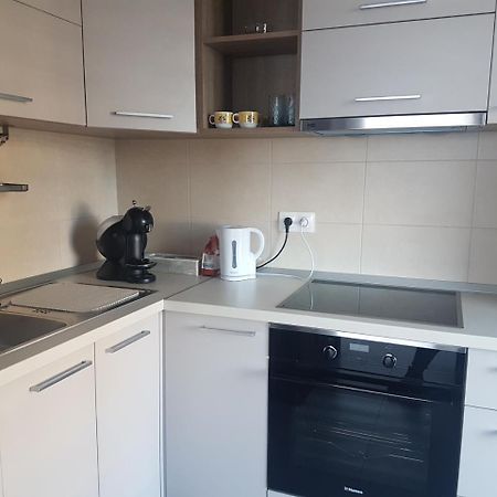 Exquisite Apartament ブラショフ エクステリア 写真