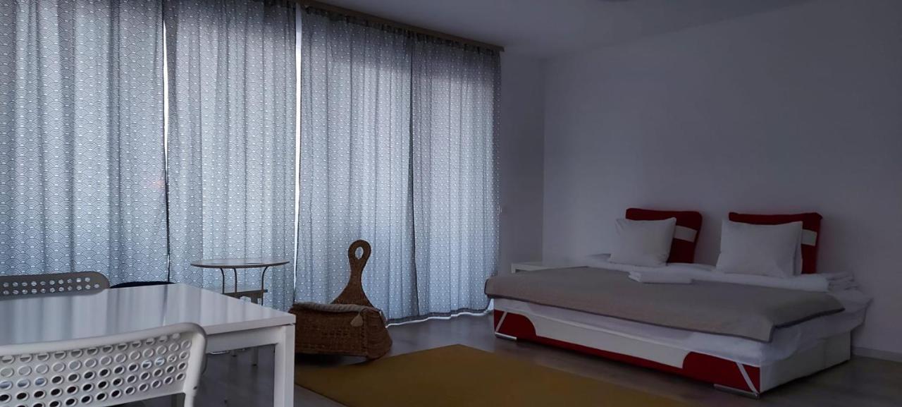 Exquisite Apartament ブラショフ エクステリア 写真