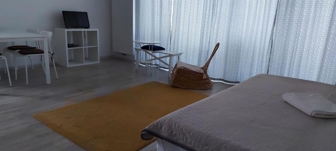 Exquisite Apartament ブラショフ エクステリア 写真