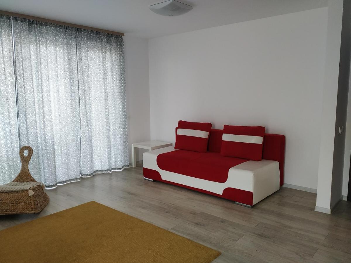 Exquisite Apartament ブラショフ エクステリア 写真