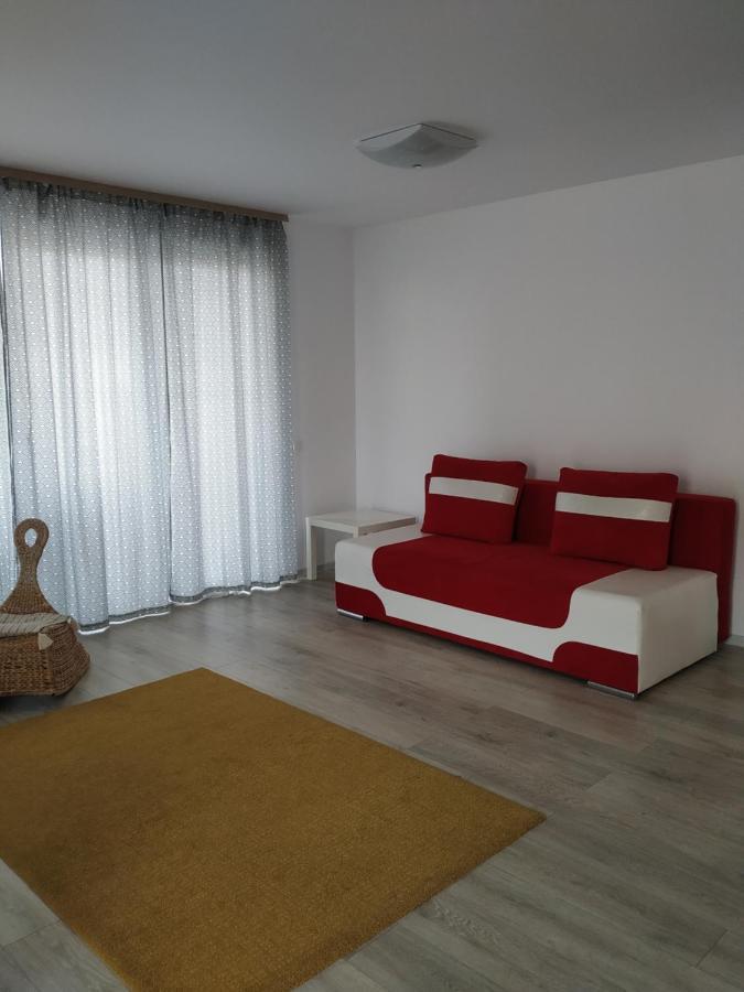 Exquisite Apartament ブラショフ エクステリア 写真