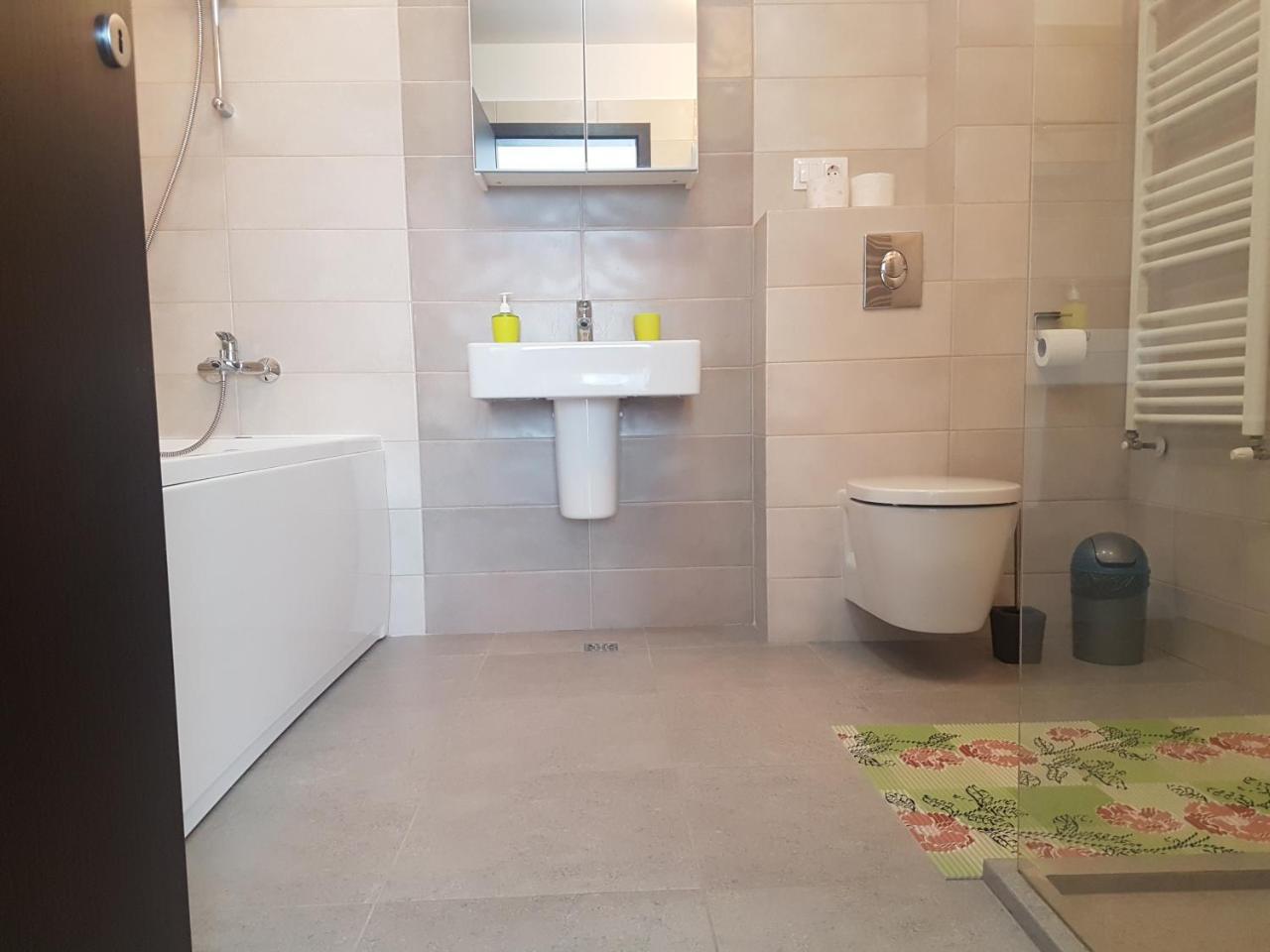 Exquisite Apartament ブラショフ エクステリア 写真