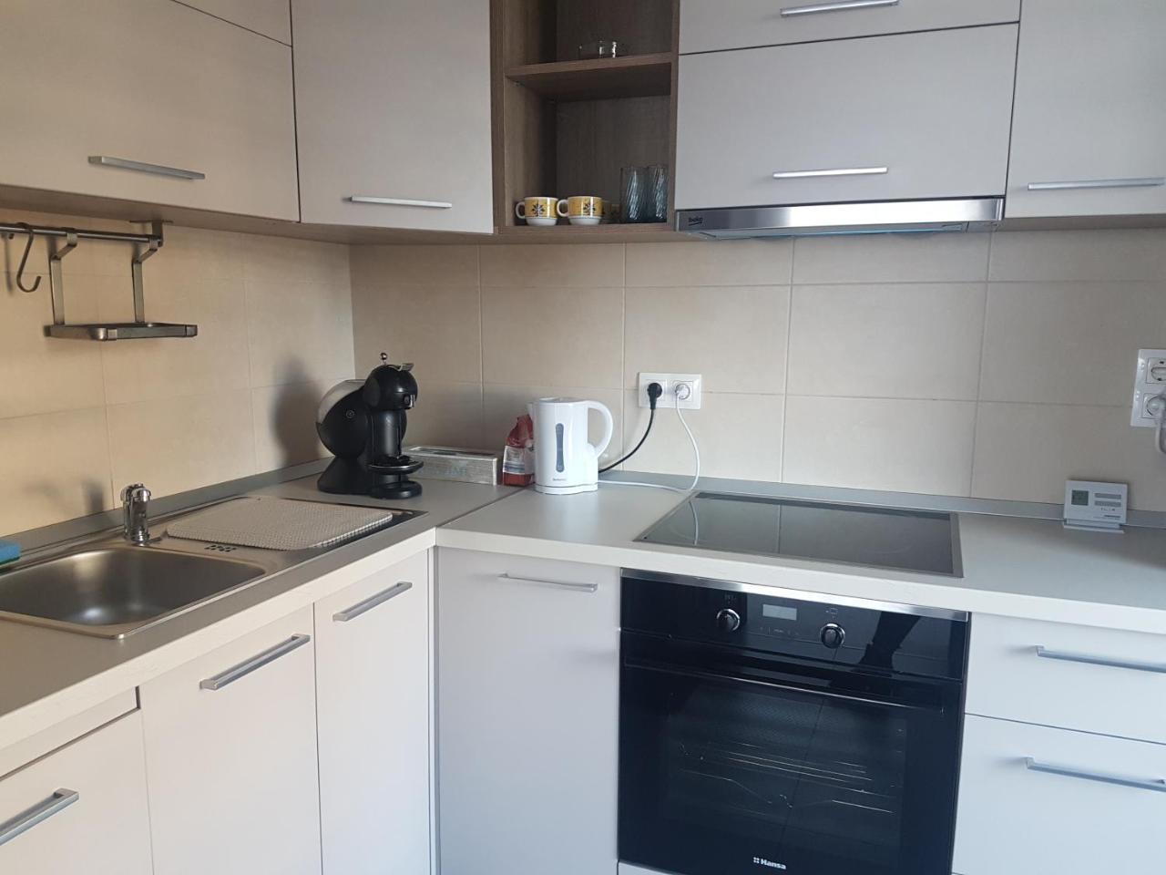 Exquisite Apartament ブラショフ エクステリア 写真
